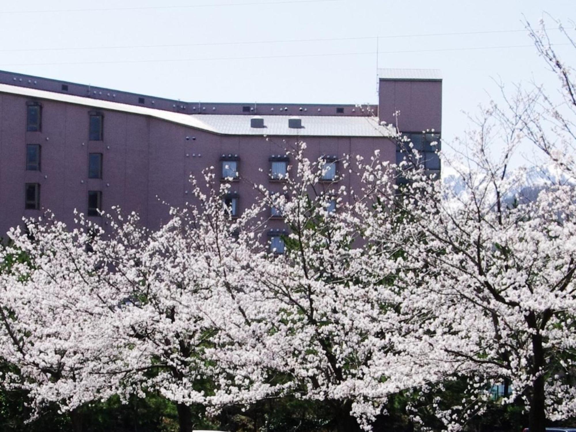 Hotel Kunitomi Annex - Vacation Stay 12072V 糸魚川市 エクステリア 写真